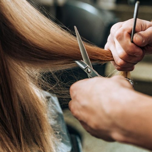 cropped shot of hairdresser doing haircut to young woman in beauty salon